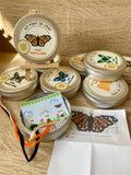Kit point de croix papillons
